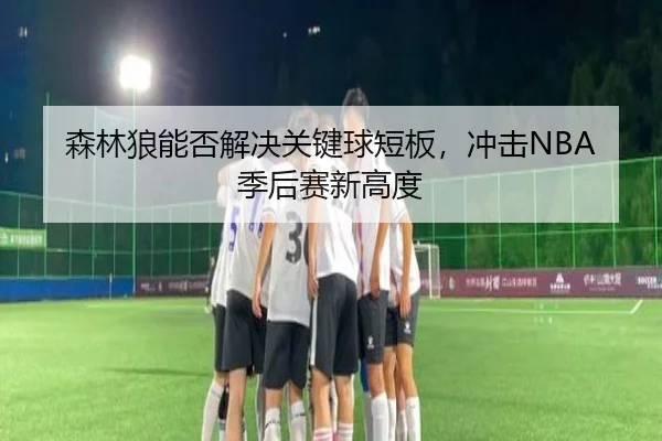 森林狼能否解决关键球短板，冲击NBA季后赛新高度
